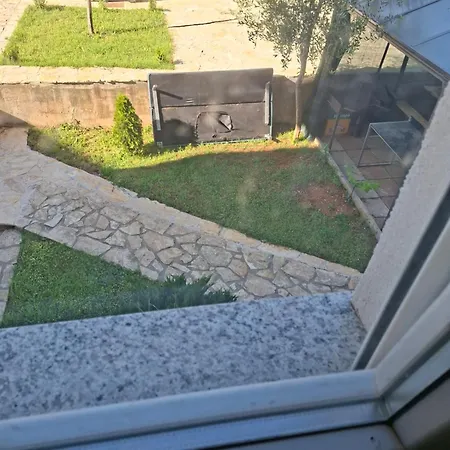 Zeljko 자다르
